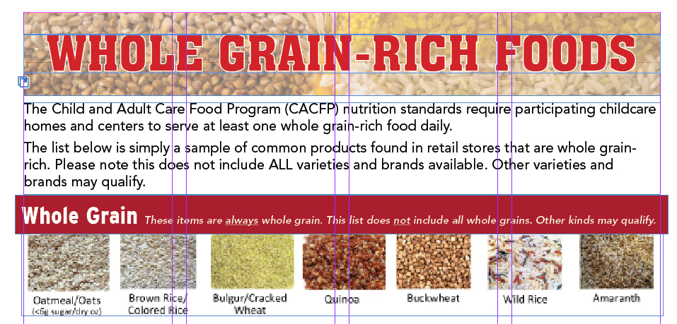 Whole Grain Rich Foods Preview Image